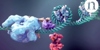 Framtiden för CRISPR/Cas9