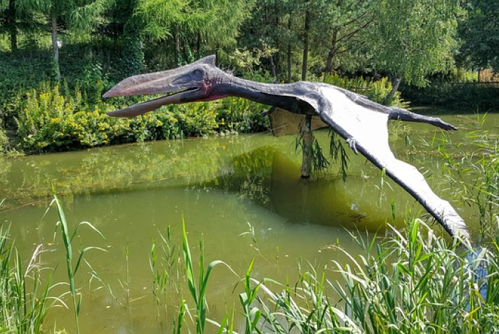 Fåglar är dinosaurier, men det är inte pterosaurier