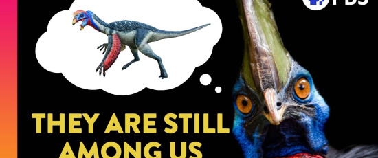 Dog dinosaurierna verkligen ut?