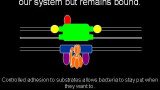 Flagellens evolution