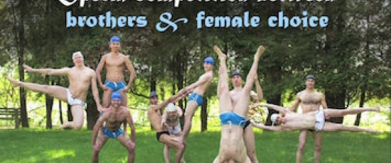 Dansa din doktorsavhandling: Spermiekonkurrens mellan bröder