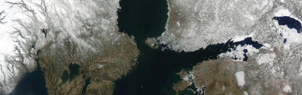 Havet som ekosystem