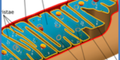 Kunskapsmål i Kemi 2