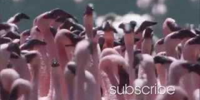 Jorden är en fantastisk plats