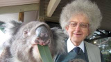 Grunden för Australiens kemi: Eukalyptusen