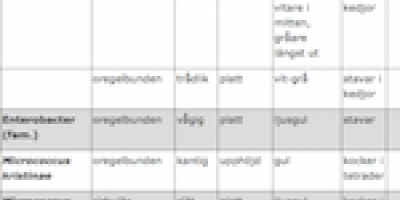 Några vanligt förekommande mikroorganismer i vår omgivning
