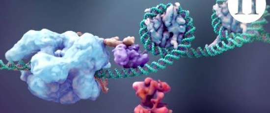 Framtiden för CRISPR/Cas9