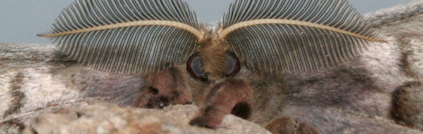 Kom­mu­ni­ka­tion