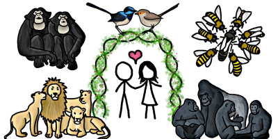 Finns det monogama djur?