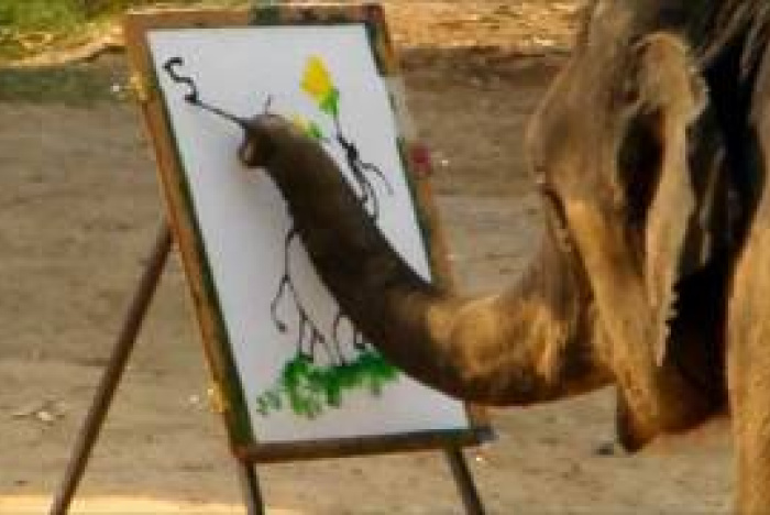 En elefant som målar elefanter