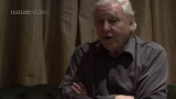 Sir David Attenborough om Darwin och evolution