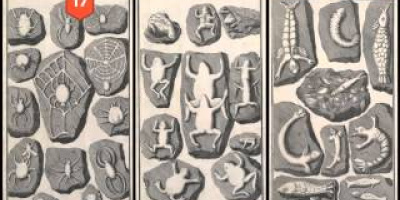 Historiens 25 värsta vetenskapliga bluffar