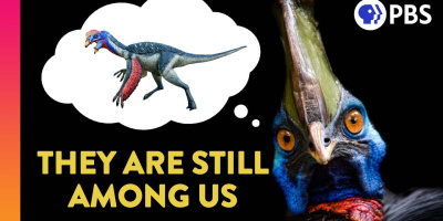 Dog dinosaurierna verkligen ut?