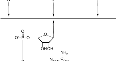 Bioinformatik: Datorövning i proteiners struktur och funktion