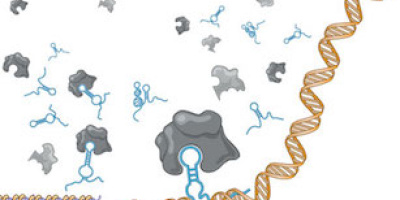 Knappast bara skräp i 