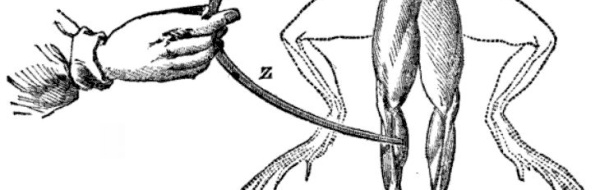 Demo: Elektrolytisk sönderdelning av vatten