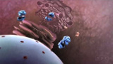 Influensa-attack! Hur ett virus infekterar din kropp