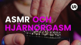 ASMR och hjärnorgasm