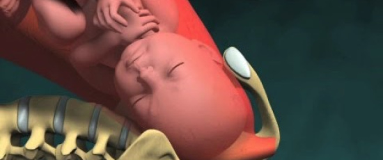 3D-animering av förlossning