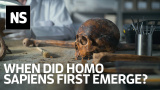 När uppstod Homo sapiens för första gången? Det är en komplex fråga att besvara