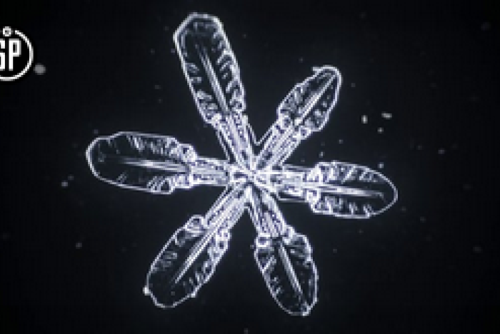 Jullov 2015-2016: Se en snöflinga bildas mitt framför dina ögon!