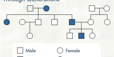 Grupparbete om genetiska sjukdomar