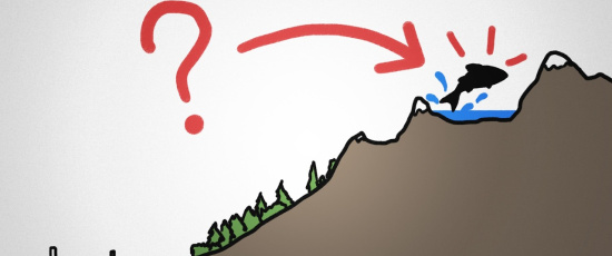 Hur hamnar fiskar i bergssjöar?