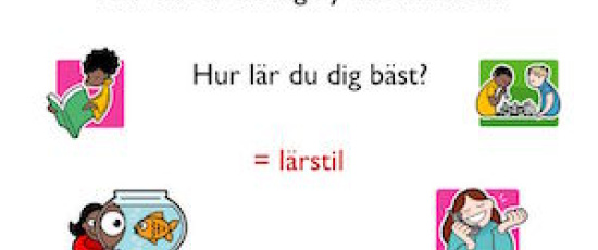 Varför vägrar myten om lärstilar att dö?