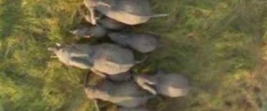 Se världen med Google Earth