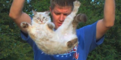 Varför landar katter alltid på fötterna?