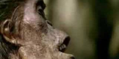 Odjurens tid del 4: Närmaste släkting