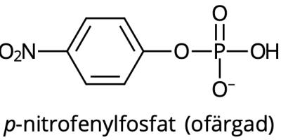 Undersökning av en en­zym­ka­ta­ly­se­rad re­ak­tions pH-be­ro­en­de (μ-version)