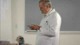 Hur hjärnan fungerar (enligt John Cleese)