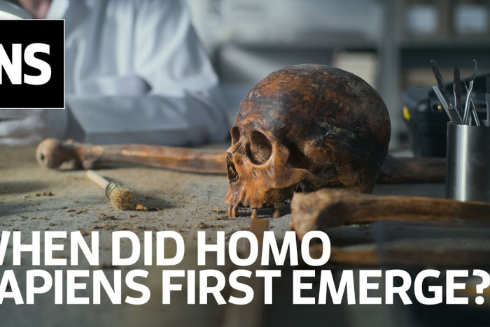 När uppstod Homo sapiens för första gången? Det är en komplex fråga att besvara