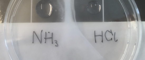 Istället för dokumentkamera