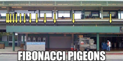 Avd. f. matematiska muntrationer del 37: Fibonacci-duvor