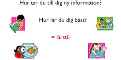 Varför vägrar myten om lärstilar att dö?
