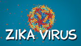 Vad vet vi om zika-viruset?