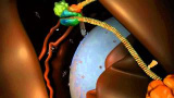 RNA-interferens förklarat