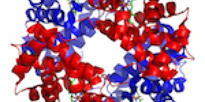 Prov 2015-05-28: Proteinernas struktur och kemi