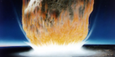 Däggdjurens uppgång