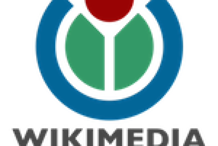 Vem vill du ska få min julklapp 2011?
