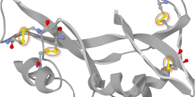Tioler och disulfider