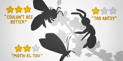 Varför har na­tu­ren över­flö­di­ga ko­pi­or?