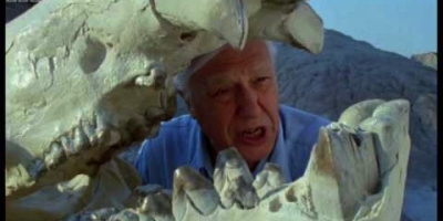 Från dinosaurier till däggdjur