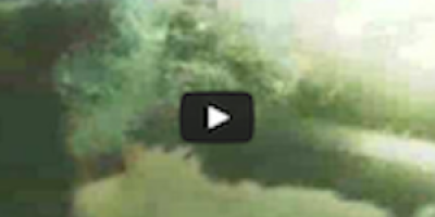 Hajar som festar på en valkropp