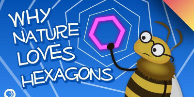 Varför föredrar naturen hexagoner?