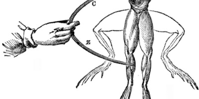 Demo: Elektrolytisk sönderdelning av vatten