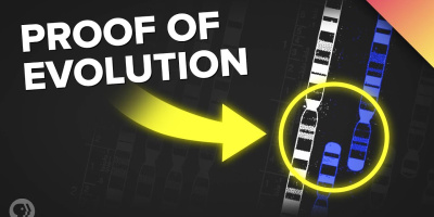 Det finns bevis för evolution gömda i ditt DNA