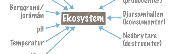 Ekosystem. Abiotiska och biotiska faktorer